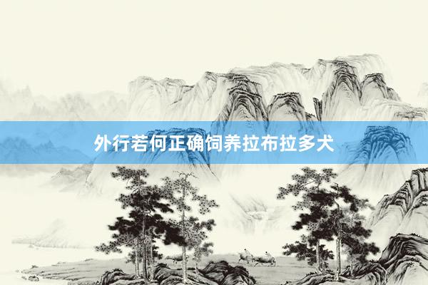 外行若何正确饲养拉布拉多犬
