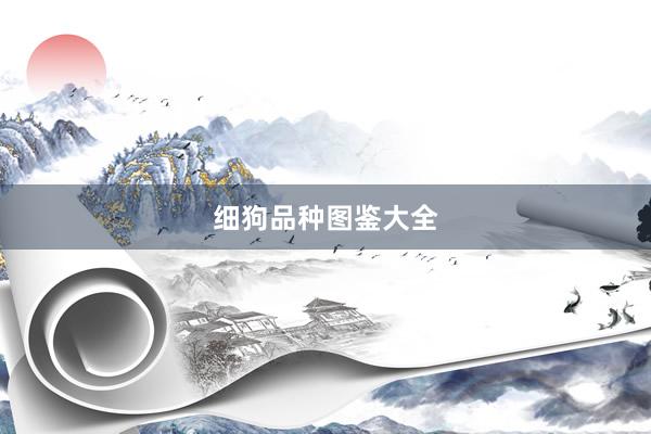 细狗品种图鉴大全