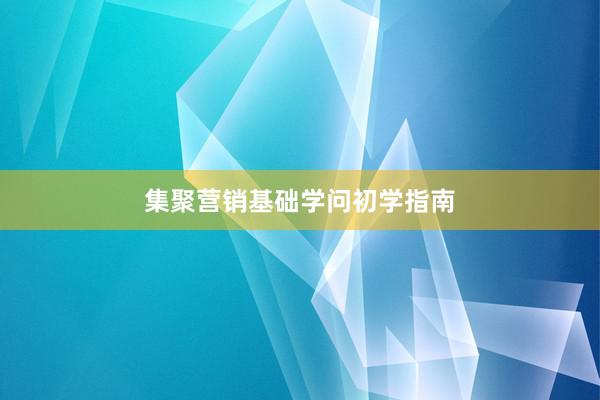 集聚营销基础学问初学指南